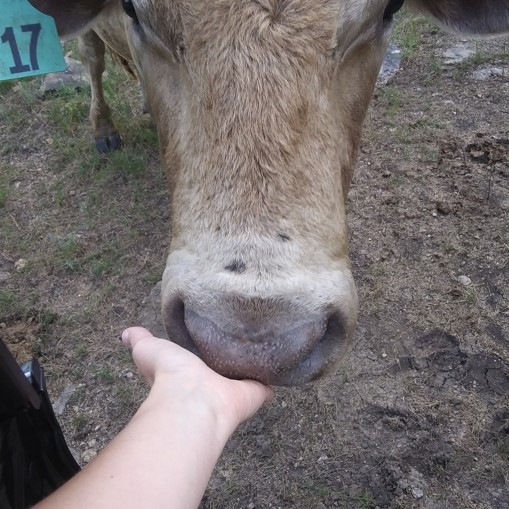 Meet your Posher, Cinnamon